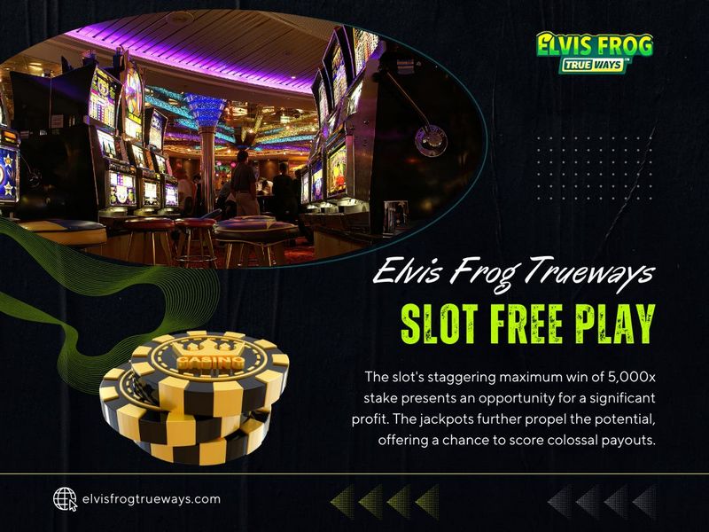 Elvis Frog in Vegas - Evaluation, Demo Play, Payment, Free Spins & Perks